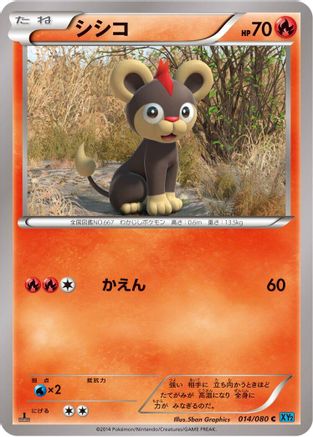[JP] Litleo (014/080) - XY2 Wild Blaze 1st Edition