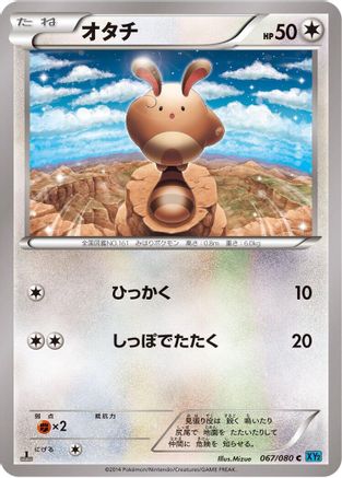 [JP] Sentret (067/080) - XY2 Wild Blaze 1st Edition