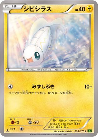 [JP] Tynamo (036/070) - XY5Bt Tidal Storm 1st Edition