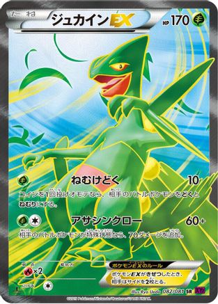[JP] Sceptile EX - 082/081 (082/081) - XY7 Bandit Ring Unlimited Holofoil