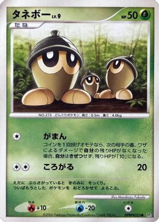 [JP] Seedot  - DP1 SpaceTime Creation