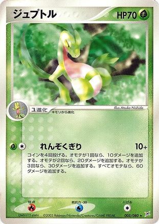 [JP] Grovyle (005/080) - Magma VS Aqua Two Ambitions