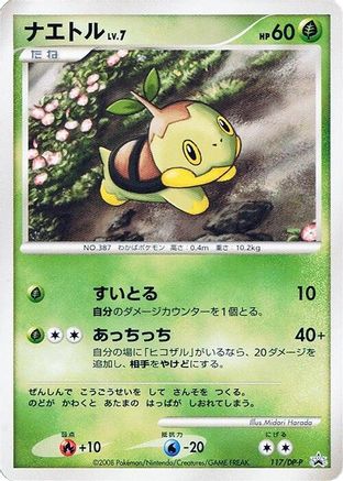 [JP] Turtwig - 117/DP-P (117/DP-P) - DPP Promotional cards