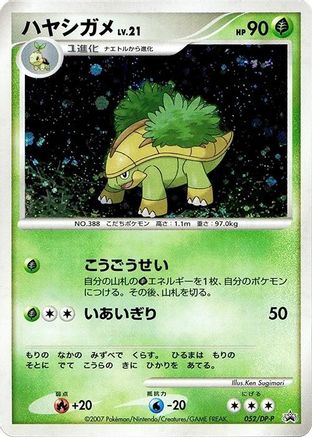 [JP] Grotle - 052/DP-P (052/DP-P) - DPP Promotional cards Holofoil