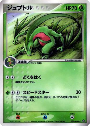 [JP] Grovyle - 008/ADV-P (008/ADV-P) - ADVP Promotional cards