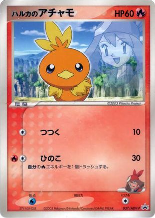 [JP] May's Torchic - 037/ADV-P (037/ADV-P) - ADVP Promotional cards