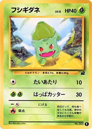 [JP] Bulbasaur - 1 (1) - Intro Pack Bulbasaur