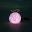 Light-Up Figurine Devil Fruit  with handstrap One Piece