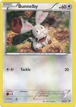 Bunnelby/39 - Kalos Starter Set