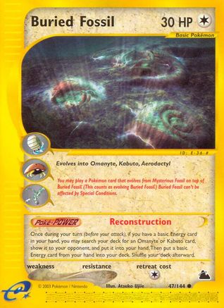 Buried Fossil/144 - Skyridge Reverse Holofoil
