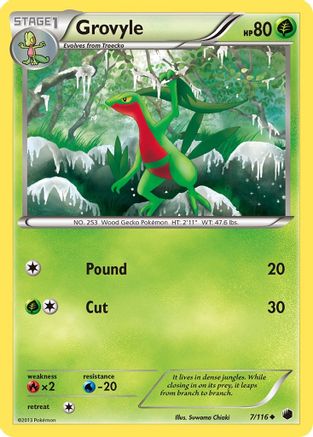 Grovyle/116 - Plasma Freeze Reverse Holofoil