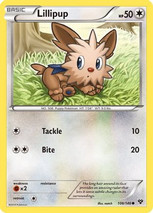 Lillipup/146 - XY Base Set