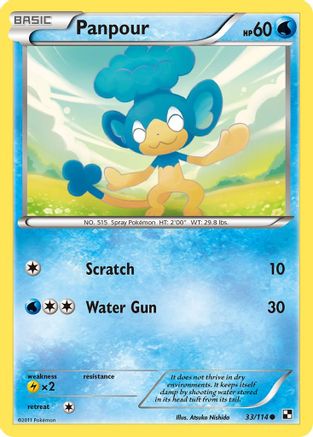 Panpour/114 - Black and White Reverse Holofoil