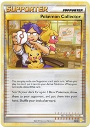 Pokemon Collector (#22) - HGSS Trainer Kit Gyarados & Raichu