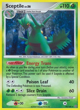 Sceptile/100 - Stormfront Holofoil