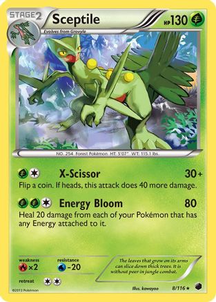Sceptile/116 - Plasma Freeze Holofoil