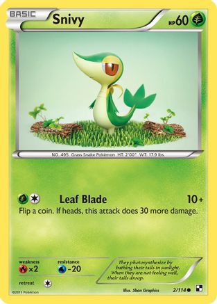 Snivy (2)/114 - Black and White Reverse Holofoil