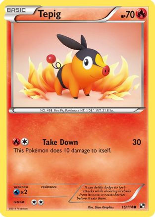 Tepig (16)/114 - Black and White Reverse Holofoil