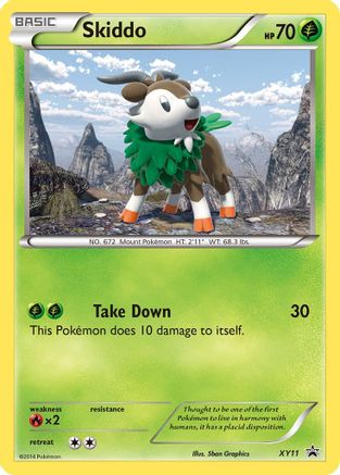 Skiddo - XY11/211 - XY Promos Holofoil