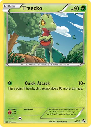 Treecko - XY36/211 - XY Promos Holofoil
