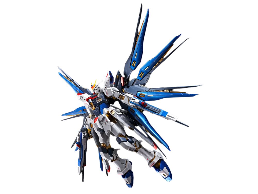 RG Strike Freedom Gundam [Titanium Finish]