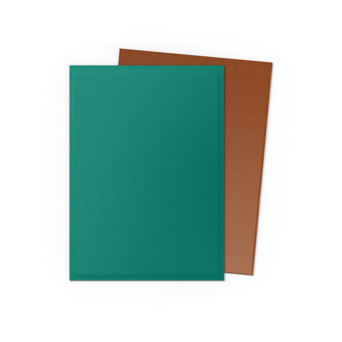 Dragon Shield Sleeves - Matte Standard (Power & Copper)