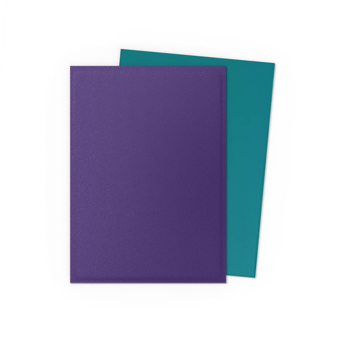 Dragon Shield Sleeves - Matte Standard (Soul & Petrol)