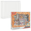 Pokemon Collection Box EVORETRO Protector – Charizard EX Fit (5 Pack)