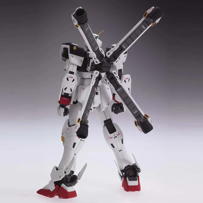 MG 1/100 Cross Bone Gundam X1 Ver.Ka