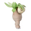 Ditto As Exeggutor Plush