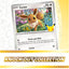 Pokémon TCG - Mega Evolution - 30th Celebration - Knock Out Collection