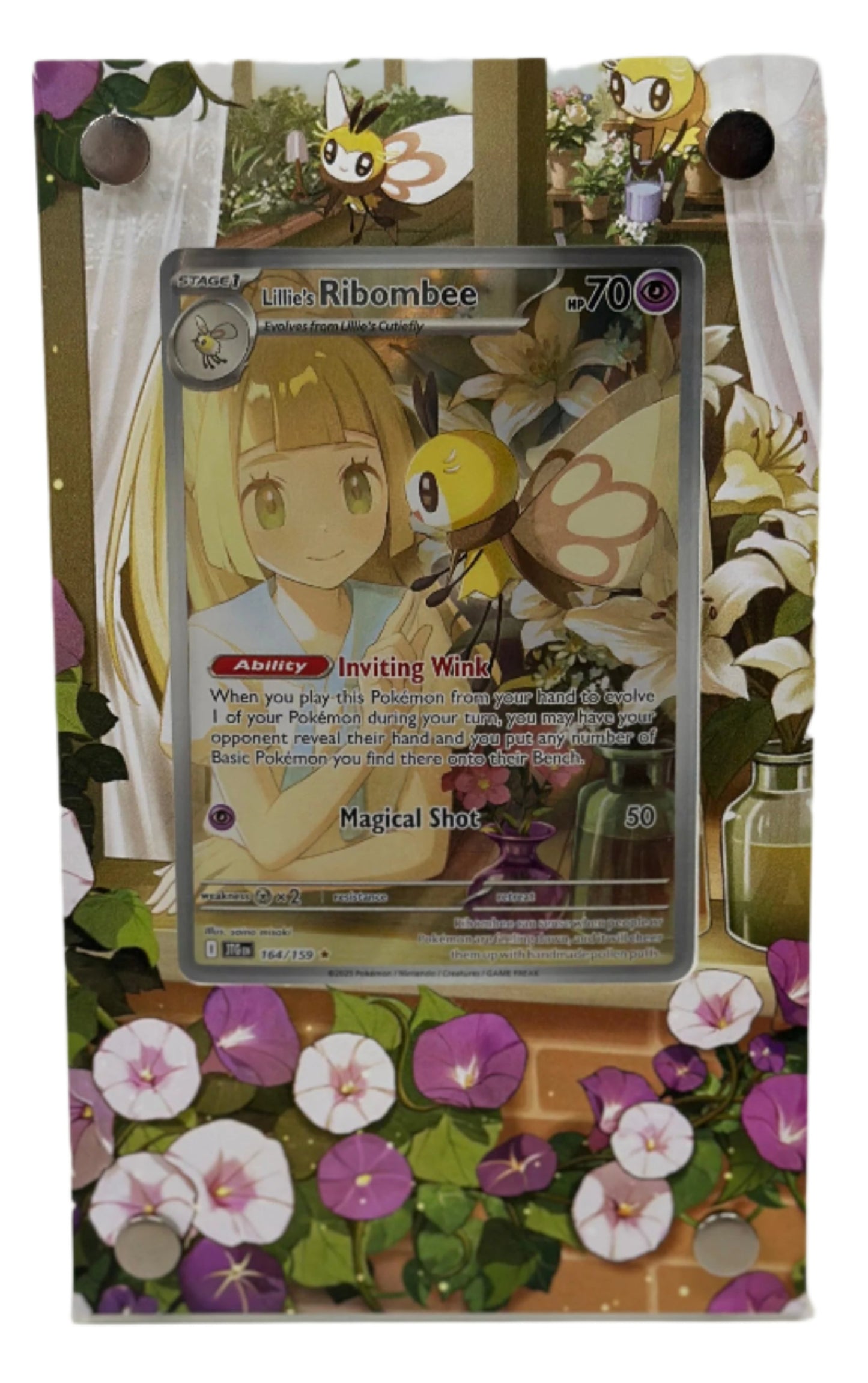 Pokemon TCG High Rarity Display Case