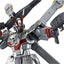 HG XM-X0 Crossbone Gundam X-0 Premium Bandai