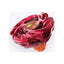 Takara Tomy Beyblade X UX-07 Phoenix Ladder Deck Set — Phoenix Rudder Beyblade