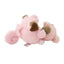 Nakibeso Cleffa & Clefairy Sweet Support (Pokemon Center Japan)