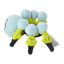 Araquanid (Pokemon fit)