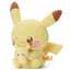Pikachu with Mini Plush (Pokémon Peaceful Place/ Poke Peace)