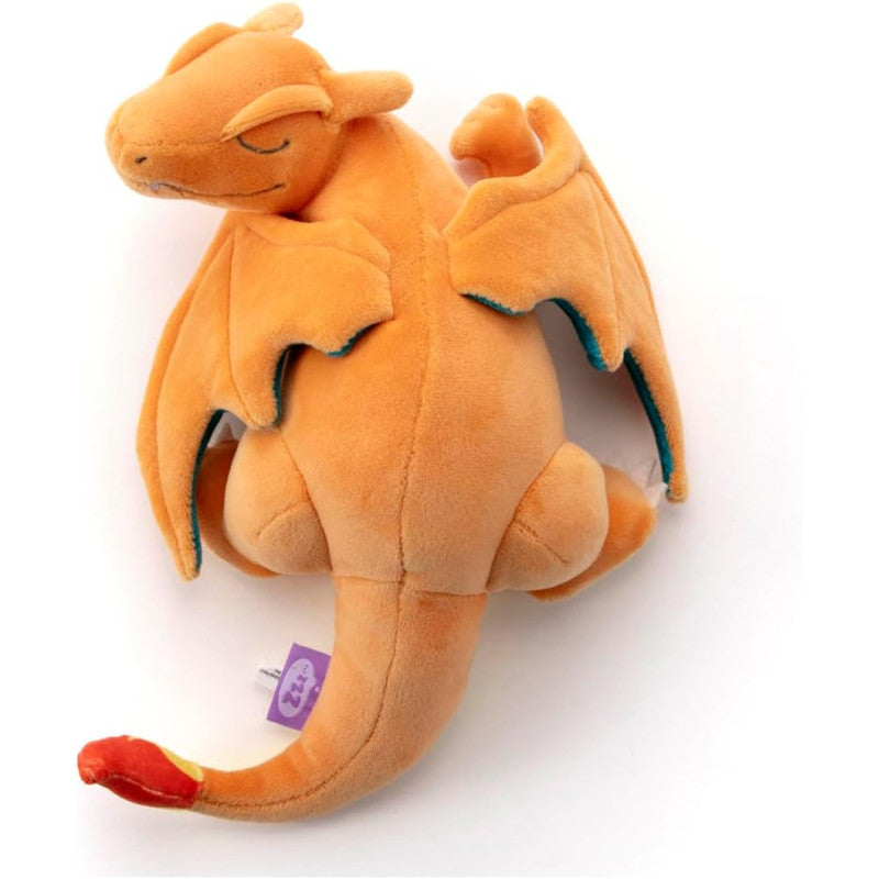 Charizard (Sleeping)