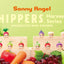 Sonny Angel Hippers - Harvest Series (1 RANDOM BOX)