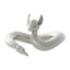 Pokémon Center Dragonair Ring size 13 (Pokémon Center Japan)