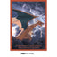 Charizard Thunder Sleeves