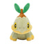 Turtwig (Pokémon fit)