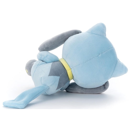 Riolu S (Sleeping)